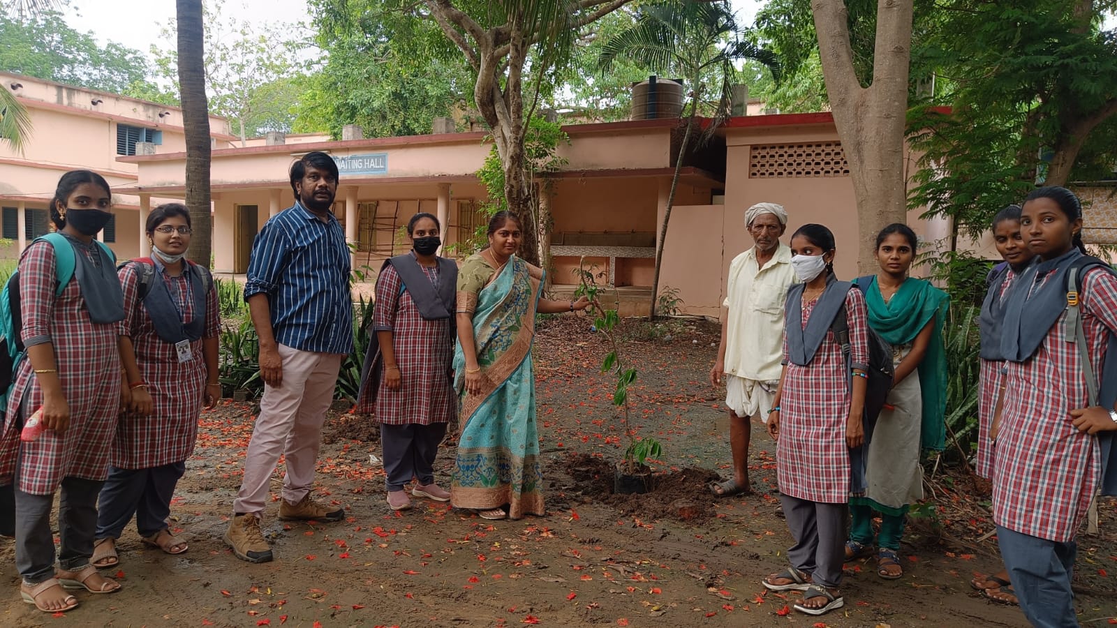 Plantation by Dept of Botany